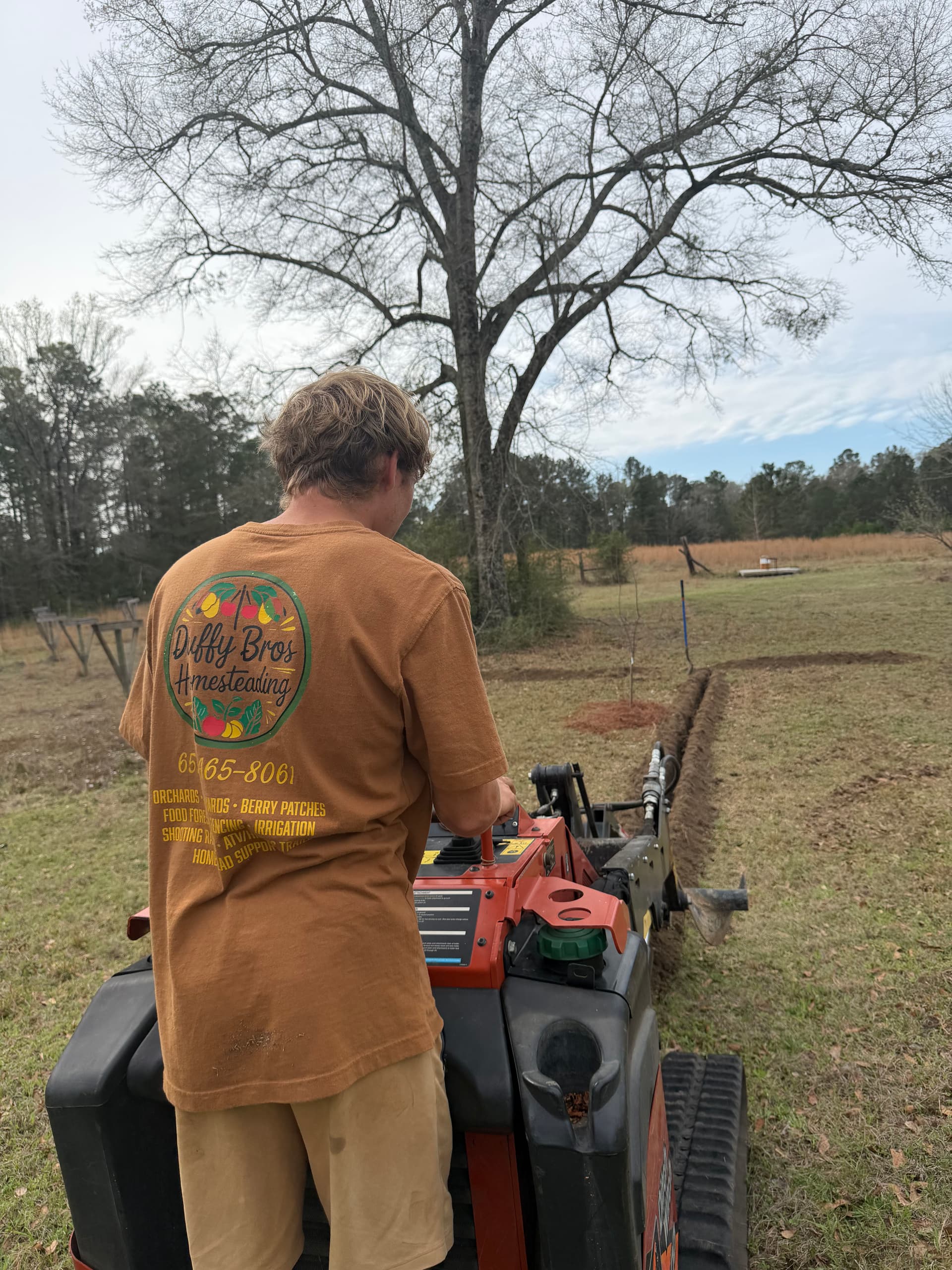 Gallery photos for Irrigation Installation Nurtures Young Orchard in Baker, Florida: Image #2