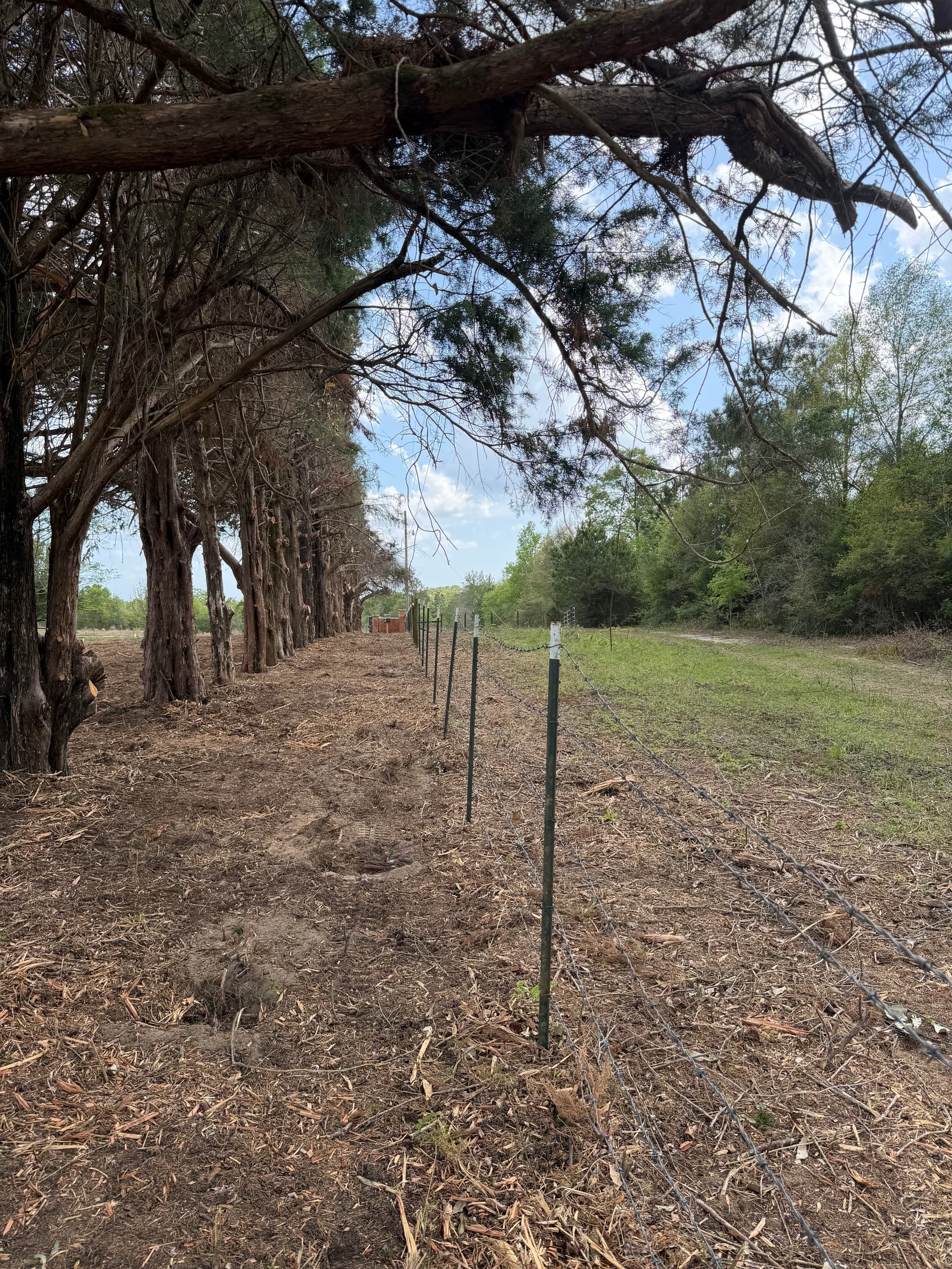 Gallery photos for From Brush to Barrier - Fence Restoration in Ponce de Leon: Image #3